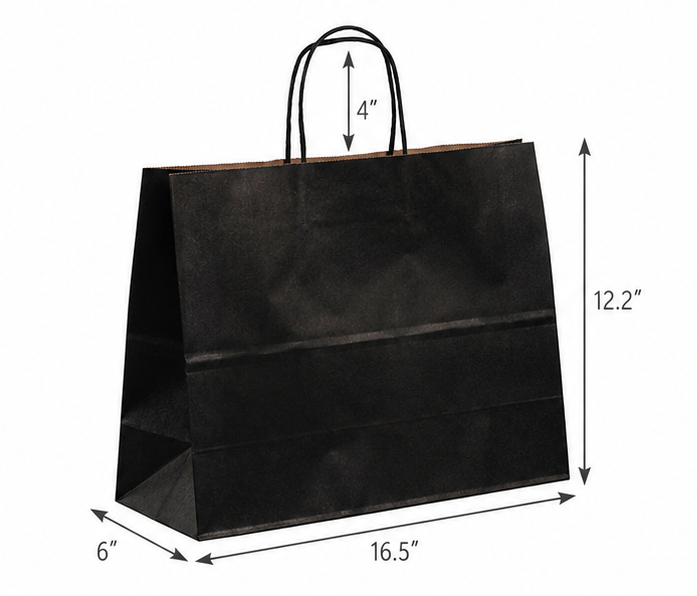 Color Vogue 16 x 6 x 12 inches Paper Shopping Bag with Twisted Handles