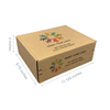 11.125" x 8.75" x 4" Custom Printed Kraft Mailer Box - Self-Seal (40 Pack)