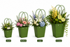 Dark Green Waterproof Flower Pot Bags – 4 Sizes (Small, Medium, Large, Extra Large) | 50pcs/Bundle