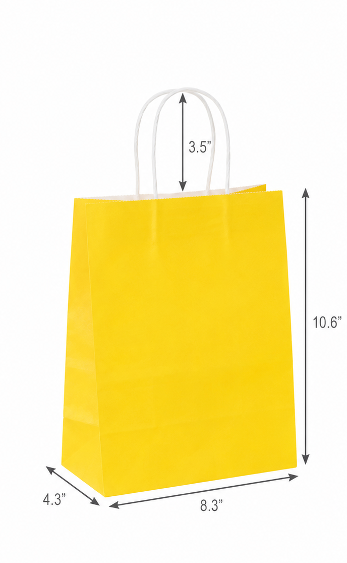 Color Cub 8.3 x 4.3 x 10.6 inches Paper Shopping Bag with Twisted Handles