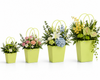 Mint Green Waterproof Flower Pot Bags – 4 Sizes (Small, Medium, Large, Extra Large) | 50pcs/Bundle