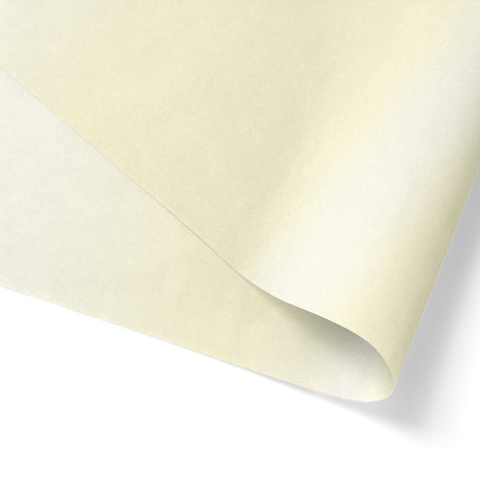 200pcs 20x30 inches Ivory Pearlized Solid Tissue Paper; $0.175/pc