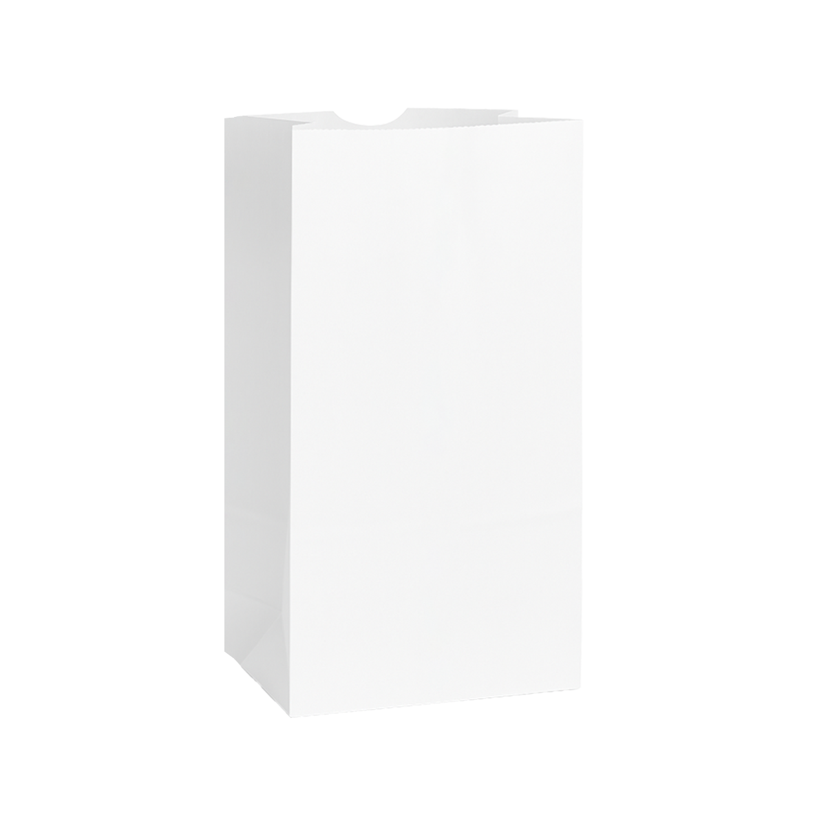 #20 - 8.25" x 5" x 15.75" - Prescription Bags - White Grocery Bags - Carton of 250 - KIS PAPER - 6027; $0.16/pc