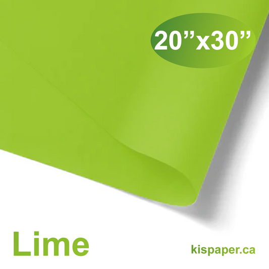 480pcs 20x30 inches Lime Solid Tissue Paper; $0.066/pc