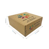 10" x 10" x 4" Custom Printed Kraft Mailer Box - Self-Seal (20 Pack)