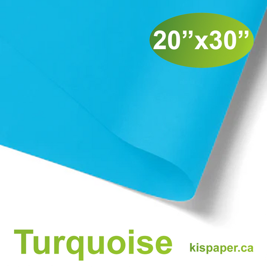 480pcs 20x30 inches Turquoise Solid Tissue Paper; $0.066/pc